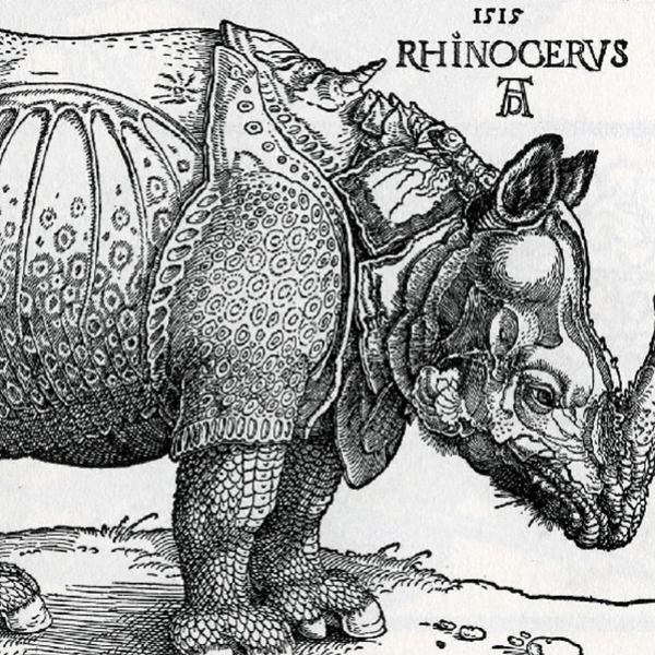 Fascination de l'animal dans l'art pour le rhinoceros de durer 